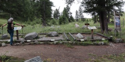 Monte Chenaillet 2650 m – sentiero geologico (***) - 28-07-2019 ESCURSIONISMO ESTIVO 