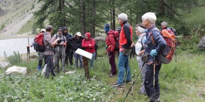 Monte Chenaillet 2650 m – sentiero geologico (***) - 28-07-2019 ESCURSIONISMO ESTIVO 