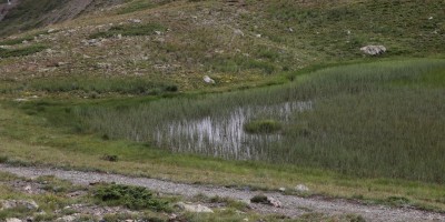 Monte Chenaillet 2650 m – sentiero geologico (***) - 28-07-2019 ESCURSIONISMO ESTIVO 