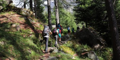 Parco Nazionale Gran Paradiso: dal Rifugio Mila (1583 m) al Col di Nel (2550 m) - 01-09-2019 ESCURSIONISMO ESTIVO 