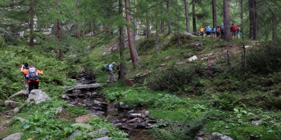 Parco Nazionale Gran Paradiso: dal Rifugio Mila (1583 m) al Col di Nel (2550 m) - 01-09-2019 ESCURSIONISMO ESTIVO 