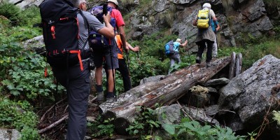 Parco Nazionale Gran Paradiso: dal Rifugio Mila (1583 m) al Col di Nel (2550 m) - 01-09-2019 ESCURSIONISMO ESTIVO 