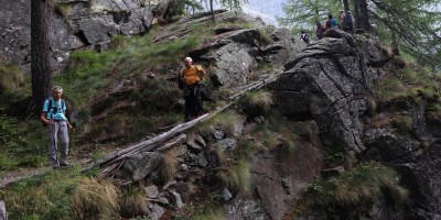 Parco Nazionale Gran Paradiso: dal Rifugio Mila (1583 m) al Col di Nel (2550 m) - 01-09-2019 ESCURSIONISMO ESTIVO 