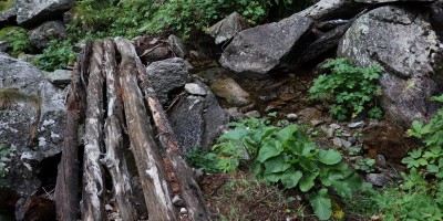 Parco Nazionale Gran Paradiso: dal Rifugio Mila (1583 m) al Col di Nel (2550 m) - 01-09-2019 ESCURSIONISMO ESTIVO 