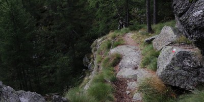 Parco Nazionale Gran Paradiso: dal Rifugio Mila (1583 m) al Col di Nel (2550 m) - 01-09-2019 ESCURSIONISMO ESTIVO 