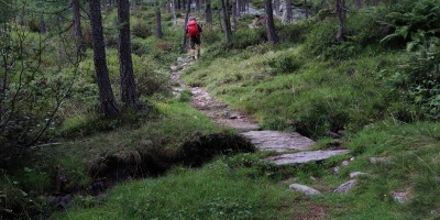 Parco Nazionale Gran Paradiso: dal Rifugio Mila (1583 m) al Col di Nel (2550 m) - 01-09-2019 ESCURSIONISMO ESTIVO 