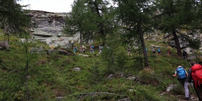 Parco Nazionale Gran Paradiso: dal Rifugio Mila (1583 m) al Col di Nel (2550 m) - 01-09-2019 ESCURSIONISMO ESTIVO 