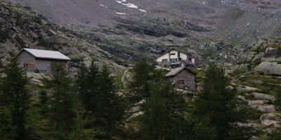 Parco Nazionale Gran Paradiso: dal Rifugio Mila (1583 m) al Col di Nel (2550 m) - 01-09-2019 ESCURSIONISMO ESTIVO 