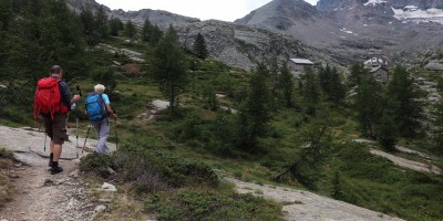 Parco Nazionale Gran Paradiso: dal Rifugio Mila (1583 m) al Col di Nel (2550 m) - 01-09-2019 ESCURSIONISMO ESTIVO 