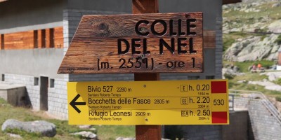 Parco Nazionale Gran Paradiso: dal Rifugio Mila (1583 m) al Col di Nel (2550 m) - 01-09-2019 ESCURSIONISMO ESTIVO 