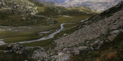 Parco Nazionale Gran Paradiso: dal Rifugio Mila (1583 m) al Col di Nel (2550 m) - 01-09-2019 ESCURSIONISMO ESTIVO 