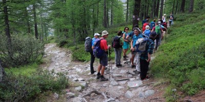 Parco Nazionale Gran Paradiso: dal Rifugio Mila (1583 m) al Col di Nel (2550 m) - 01-09-2019 ESCURSIONISMO ESTIVO 