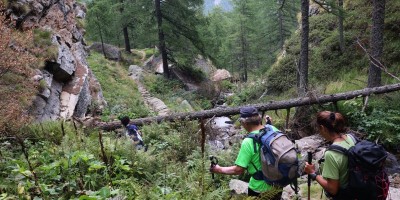 Parco Nazionale Gran Paradiso: dal Rifugio Mila (1583 m) al Col di Nel (2550 m) - 01-09-2019 ESCURSIONISMO ESTIVO 