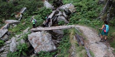 Parco Nazionale Gran Paradiso: dal Rifugio Mila (1583 m) al Col di Nel (2550 m) - 01-09-2019 ESCURSIONISMO ESTIVO 