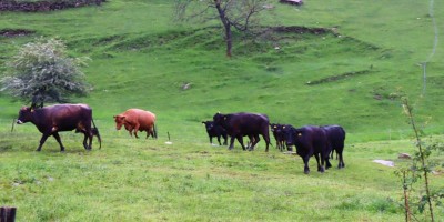 Chiot dla Sella - 26-05-2019 ESCURSIONISMO ESTIVO 