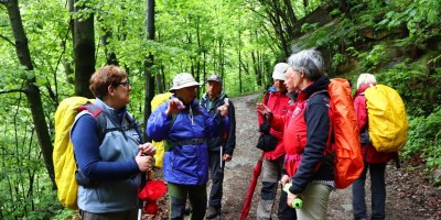 Chiot dla Sella - 26-05-2019 ESCURSIONISMO ESTIVO 