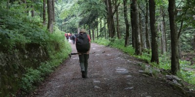 Passo del Duca (1989 m) – Valle Pesio – Gita in collaborazione con la SottoSezione  GEAT  - 09-06-2019 ESCURSIONISMO ESTIVO 