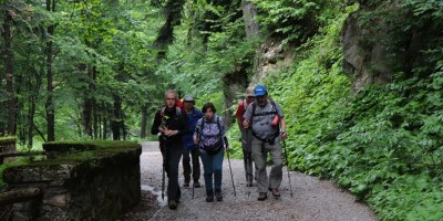 Passo del Duca (1989 m) – Valle Pesio – Gita in collaborazione con la SottoSezione  GEAT  - 09-06-2019 ESCURSIONISMO ESTIVO 