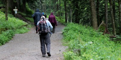 Passo del Duca (1989 m) – Valle Pesio – Gita in collaborazione con la SottoSezione  GEAT  - 09-06-2019 ESCURSIONISMO ESTIVO 