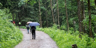 Passo del Duca (1989 m) – Valle Pesio – Gita in collaborazione con la SottoSezione  GEAT  - 09-06-2019 ESCURSIONISMO ESTIVO 