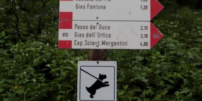 Passo del Duca (1989 m) – Valle Pesio – Gita in collaborazione con la SottoSezione  GEAT  - 09-06-2019 ESCURSIONISMO ESTIVO 