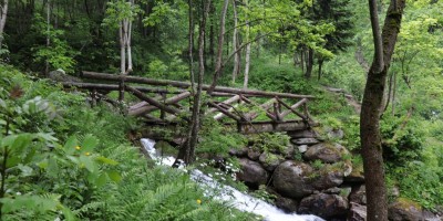 Passo del Duca (1989 m) – Valle Pesio – Gita in collaborazione con la SottoSezione  GEAT  - 09-06-2019 ESCURSIONISMO ESTIVO 