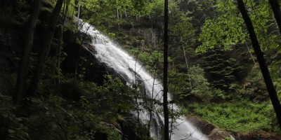 Passo del Duca (1989 m) – Valle Pesio – Gita in collaborazione con la SottoSezione  GEAT  - 09-06-2019 ESCURSIONISMO ESTIVO 