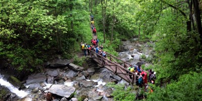 Passo del Duca (1989 m) – Valle Pesio – Gita in collaborazione con la SottoSezione  GEAT  - 09-06-2019 ESCURSIONISMO ESTIVO 