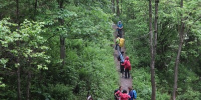 Passo del Duca (1989 m) – Valle Pesio – Gita in collaborazione con la SottoSezione  GEAT  - 09-06-2019 ESCURSIONISMO ESTIVO 