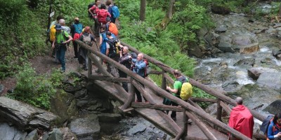 Passo del Duca (1989 m) – Valle Pesio – Gita in collaborazione con la SottoSezione  GEAT  - 09-06-2019 ESCURSIONISMO ESTIVO 