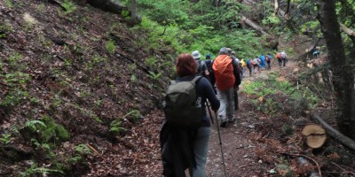 Passo del Duca (1989 m) – Valle Pesio – Gita in collaborazione con la SottoSezione  GEAT  - 09-06-2019 ESCURSIONISMO ESTIVO 