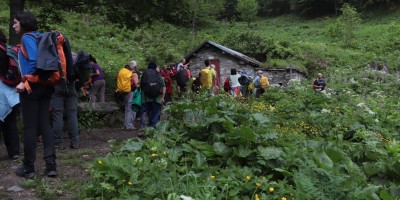 Passo del Duca (1989 m) – Valle Pesio – Gita in collaborazione con la SottoSezione  GEAT  - 09-06-2019 ESCURSIONISMO ESTIVO 