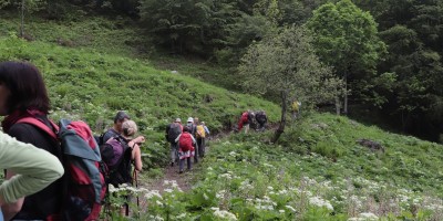 Passo del Duca (1989 m) – Valle Pesio – Gita in collaborazione con la SottoSezione  GEAT  - 09-06-2019 ESCURSIONISMO ESTIVO 