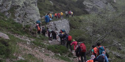 Passo del Duca (1989 m) – Valle Pesio – Gita in collaborazione con la SottoSezione  GEAT  - 09-06-2019 ESCURSIONISMO ESTIVO 