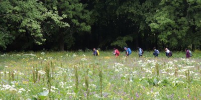 Passo del Duca (1989 m) – Valle Pesio – Gita in collaborazione con la SottoSezione  GEAT  - 09-06-2019 ESCURSIONISMO ESTIVO 