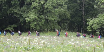 Passo del Duca (1989 m) – Valle Pesio – Gita in collaborazione con la SottoSezione  GEAT  - 09-06-2019 ESCURSIONISMO ESTIVO 