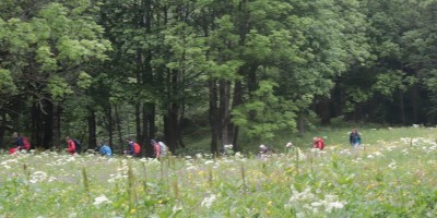 Passo del Duca (1989 m) – Valle Pesio – Gita in collaborazione con la SottoSezione  GEAT  - 09-06-2019 ESCURSIONISMO ESTIVO 