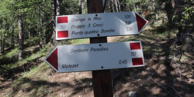 Poggio Tre Croci (2177 m) e fortificazioni B3 e B4 (2300 m) - Valle di Susa (***) - 16-06-2019 ESCURSIONISMO ESTIVO 