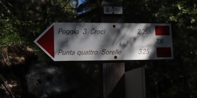 Poggio Tre Croci (2177 m) e fortificazioni B3 e B4 (2300 m) - Valle di Susa (***) - 16-06-2019 ESCURSIONISMO ESTIVO 