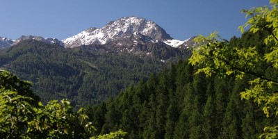 Poggio Tre Croci (2177 m) e fortificazioni B3 e B4 (2300 m) - Valle di Susa (***) - 16-06-2019 ESCURSIONISMO ESTIVO 