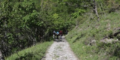Poggio Tre Croci (2177 m) e fortificazioni B3 e B4 (2300 m) - Valle di Susa (***) - 16-06-2019 ESCURSIONISMO ESTIVO 