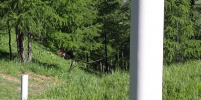 Poggio Tre Croci (2177 m) e fortificazioni B3 e B4 (2300 m) - Valle di Susa (***) - 16-06-2019 ESCURSIONISMO ESTIVO 