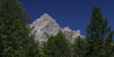 Poggio Tre Croci (2177 m) e fortificazioni B3 e B4 (2300 m) - Valle di Susa (***) - 16-06-2019 ESCURSIONISMO ESTIVO 