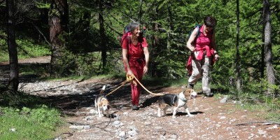 Poggio Tre Croci (2177 m) e fortificazioni B3 e B4 (2300 m) - Valle di Susa (***) - 16-06-2019 ESCURSIONISMO ESTIVO 