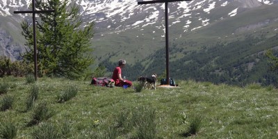 Poggio Tre Croci (2177 m) e fortificazioni B3 e B4 (2300 m) - Valle di Susa (***) - 16-06-2019 ESCURSIONISMO ESTIVO 