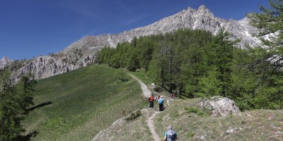 Poggio Tre Croci (2177 m) e fortificazioni B3 e B4 (2300 m) - Valle di Susa (***) - 16-06-2019 ESCURSIONISMO ESTIVO 