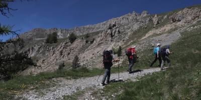Poggio Tre Croci (2177 m) e fortificazioni B3 e B4 (2300 m) - Valle di Susa (***) - 16-06-2019 ESCURSIONISMO ESTIVO 