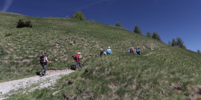 Poggio Tre Croci (2177 m) e fortificazioni B3 e B4 (2300 m) - Valle di Susa (***) - 16-06-2019 ESCURSIONISMO ESTIVO 