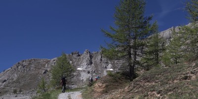 Poggio Tre Croci (2177 m) e fortificazioni B3 e B4 (2300 m) - Valle di Susa (***) - 16-06-2019 ESCURSIONISMO ESTIVO 