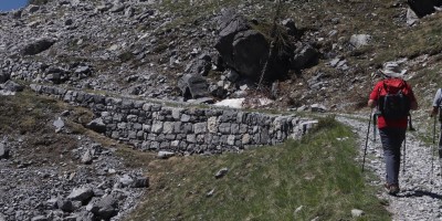 Poggio Tre Croci (2177 m) e fortificazioni B3 e B4 (2300 m) - Valle di Susa (***) - 16-06-2019 ESCURSIONISMO ESTIVO 